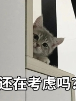 壓力超大的單親爸爸在沉悶的日子裡終於有了微笑